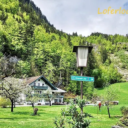 公寓 Loferlodge 3 罗孚尔